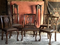 Antique Vintage Ball and Claw Mocha Leather Drop in Seats Chippendale Dining Chairs x 6