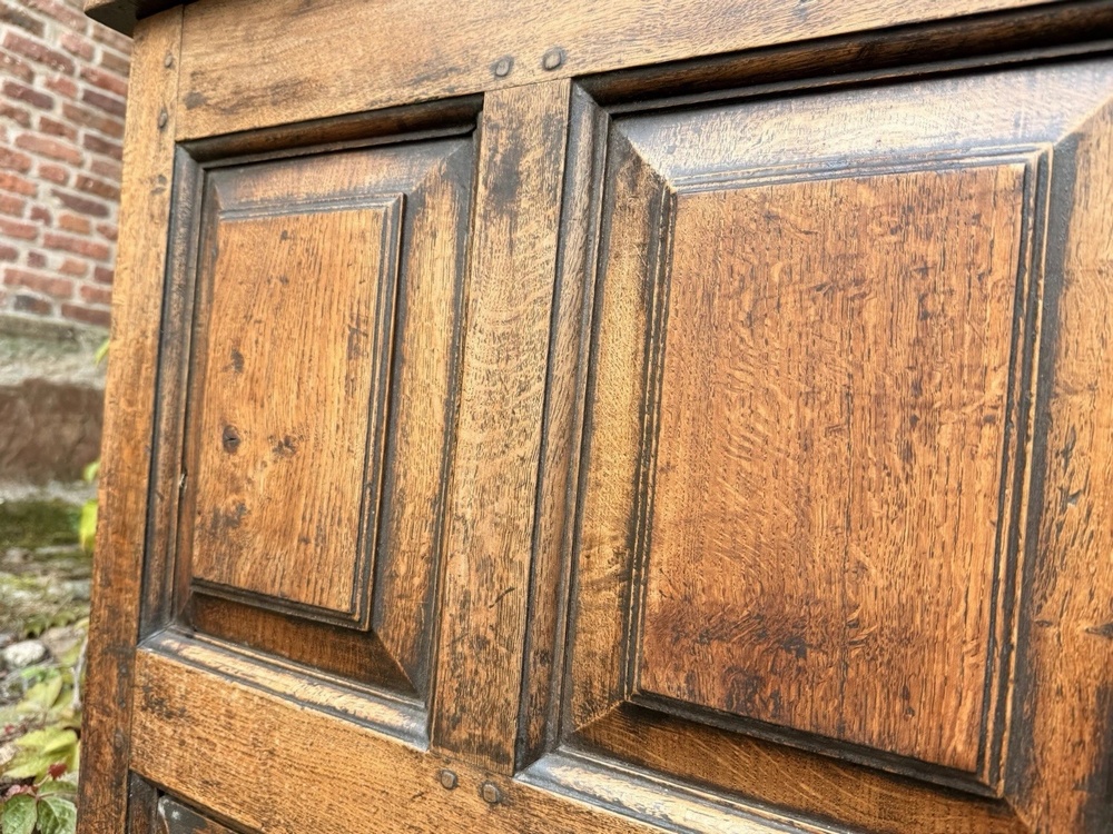 Original English Oak Antique Rustic Panelled Coffer Mule Chest C1780 Intials TS